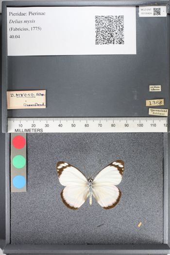 Media type: image;   Entomology 130424